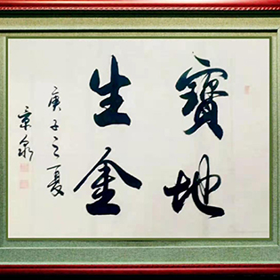 作品展示